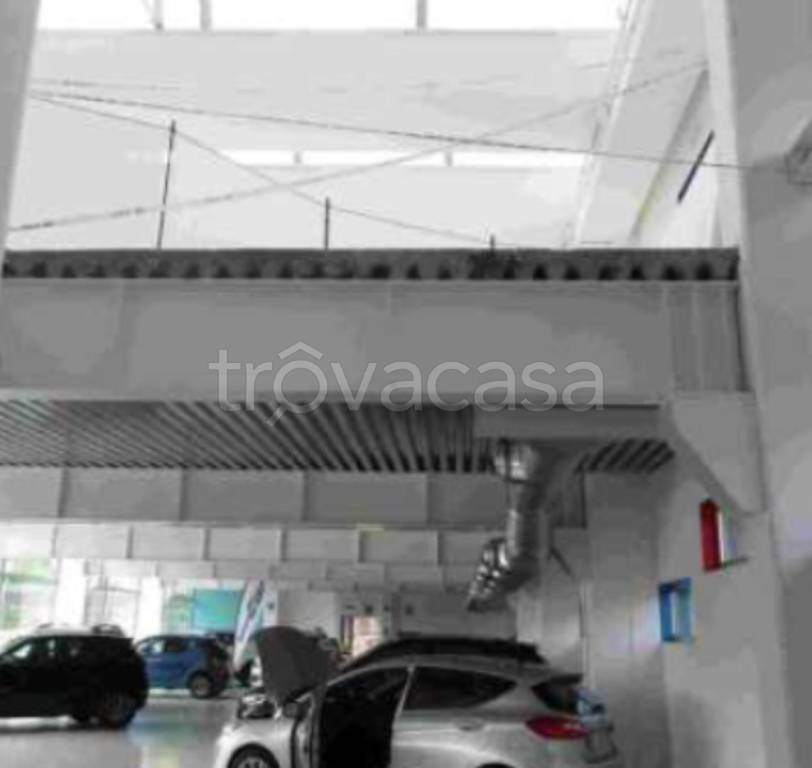 immagine annuncio 8 di 11