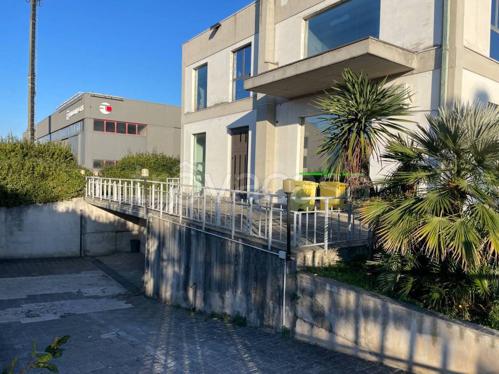 immagine annuncio 3 di 14