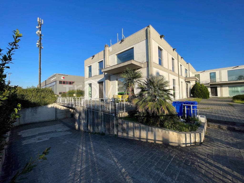 immagine annuncio 4 di 14