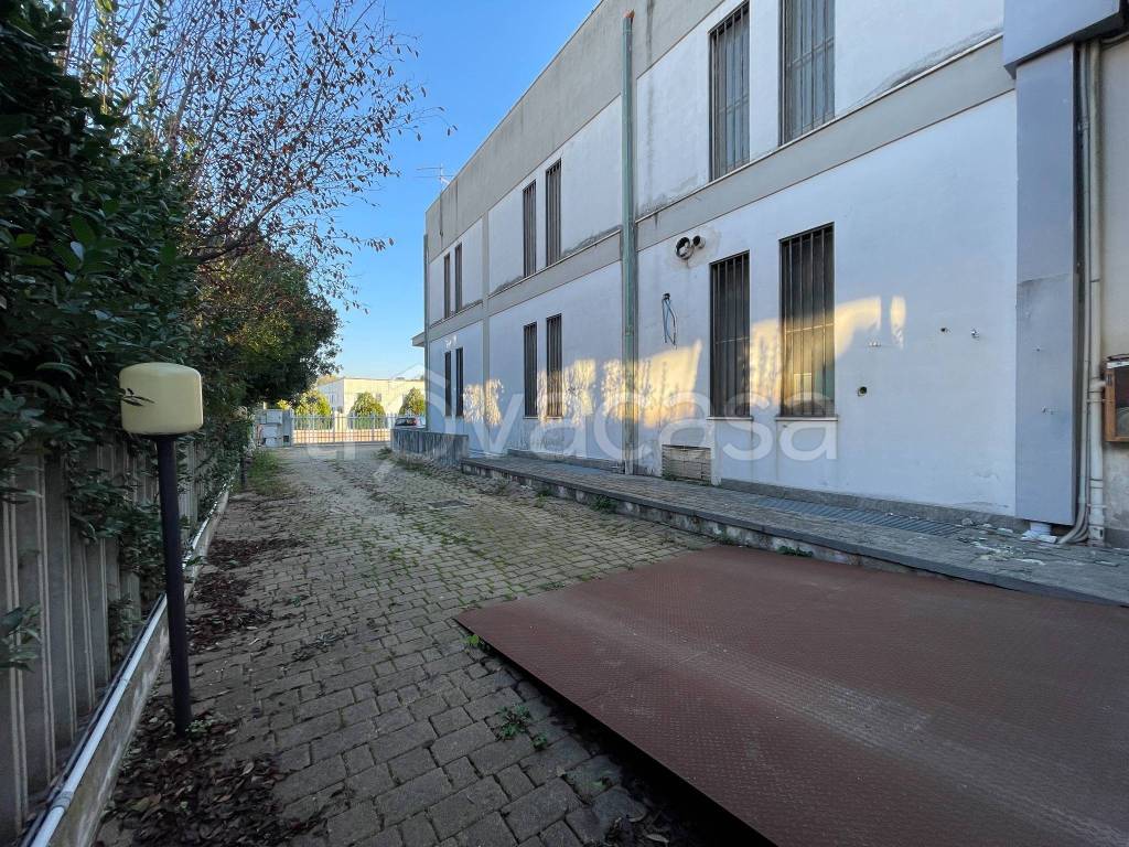 immagine annuncio 7 di 14