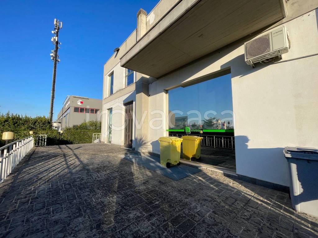 immagine annuncio 9 di 14