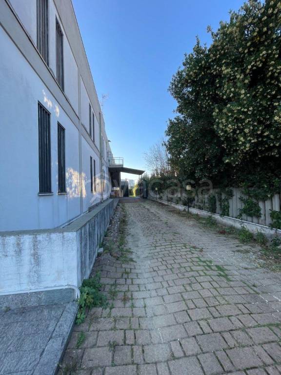 immagine annuncio 11 di 14