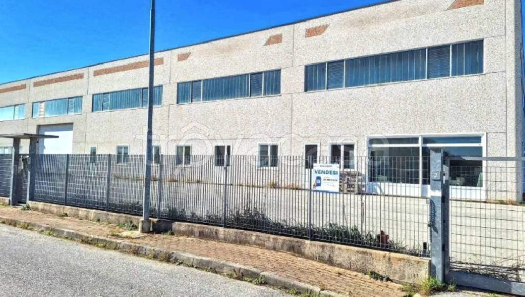 immagine annuncio 4 di 10