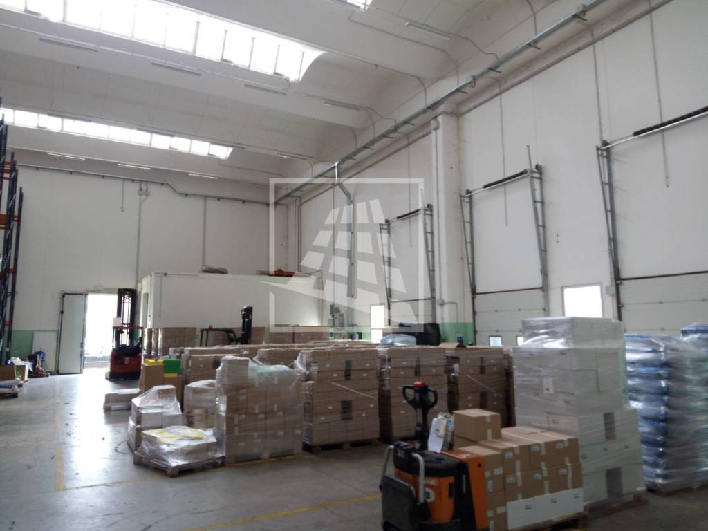 immagine annuncio 10 di 15