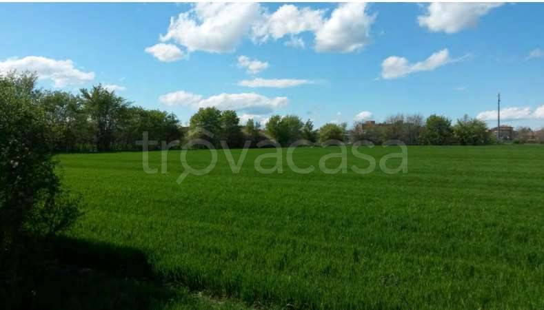 immagine annuncio 5 di 14