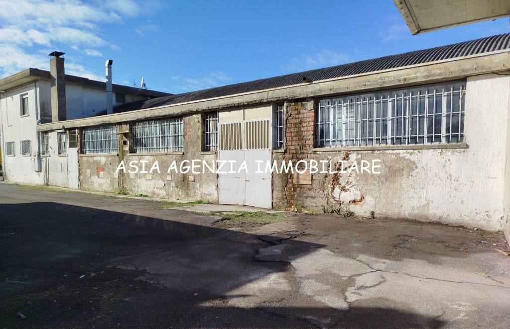 immagine annuncio 2 di 6