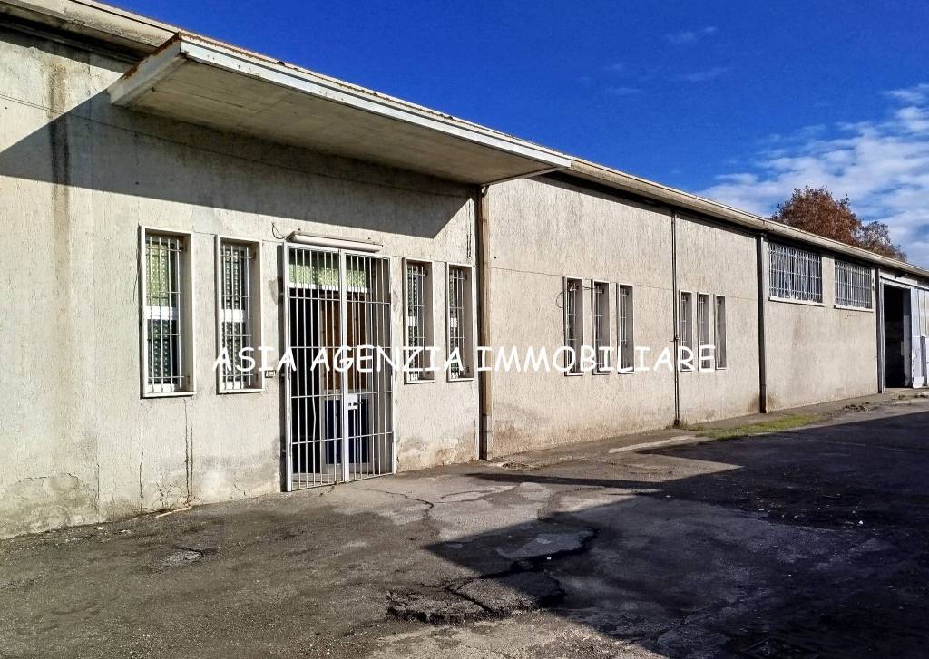 immagine annuncio 3 di 6