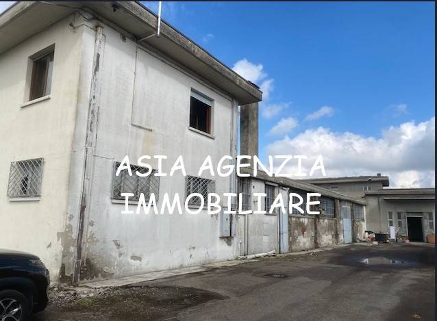 immagine annuncio 4 di 6