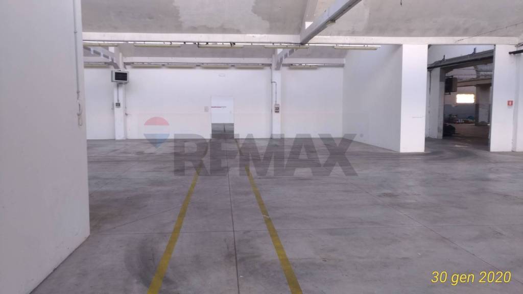 immagine annuncio 2 di 6