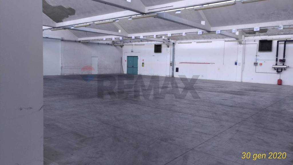 immagine annuncio 3 di 6