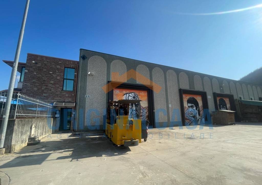 immagine annuncio 11 di 13