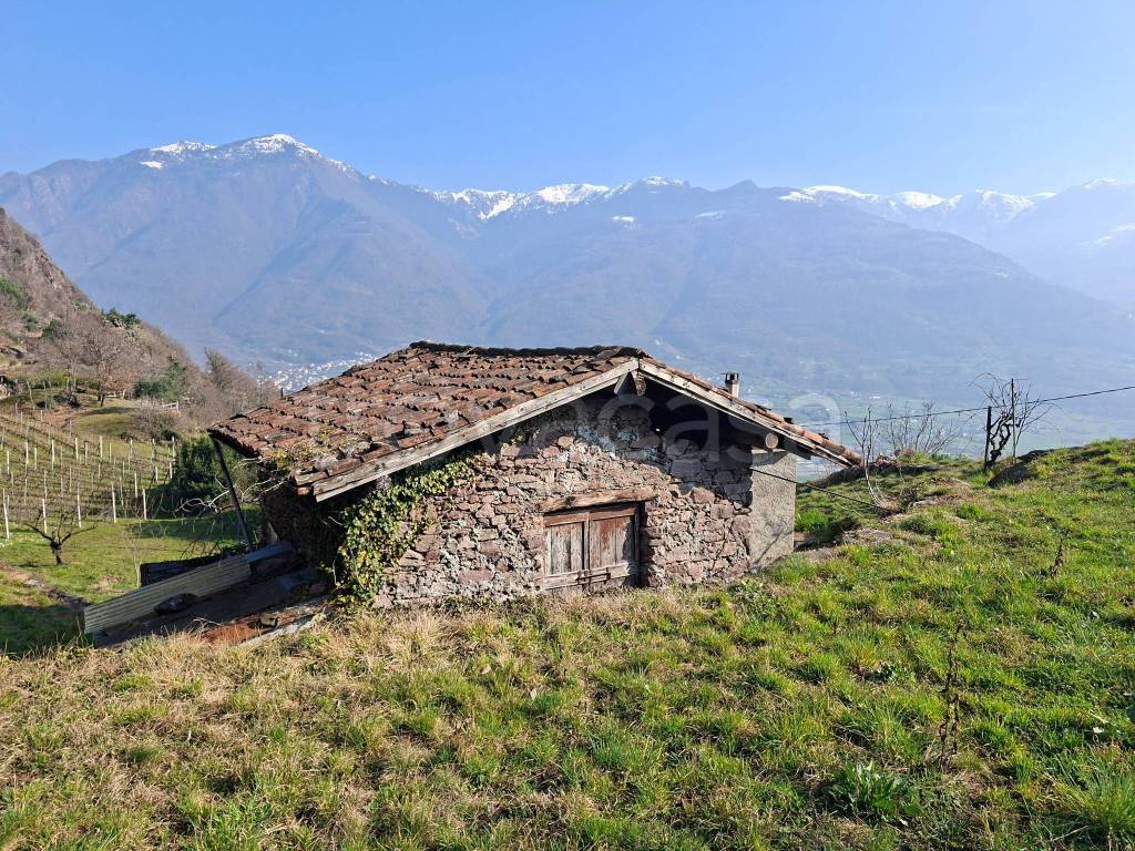 immagine annuncio 1 di 11