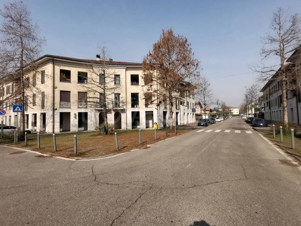 immagine annuncio 14 di 15