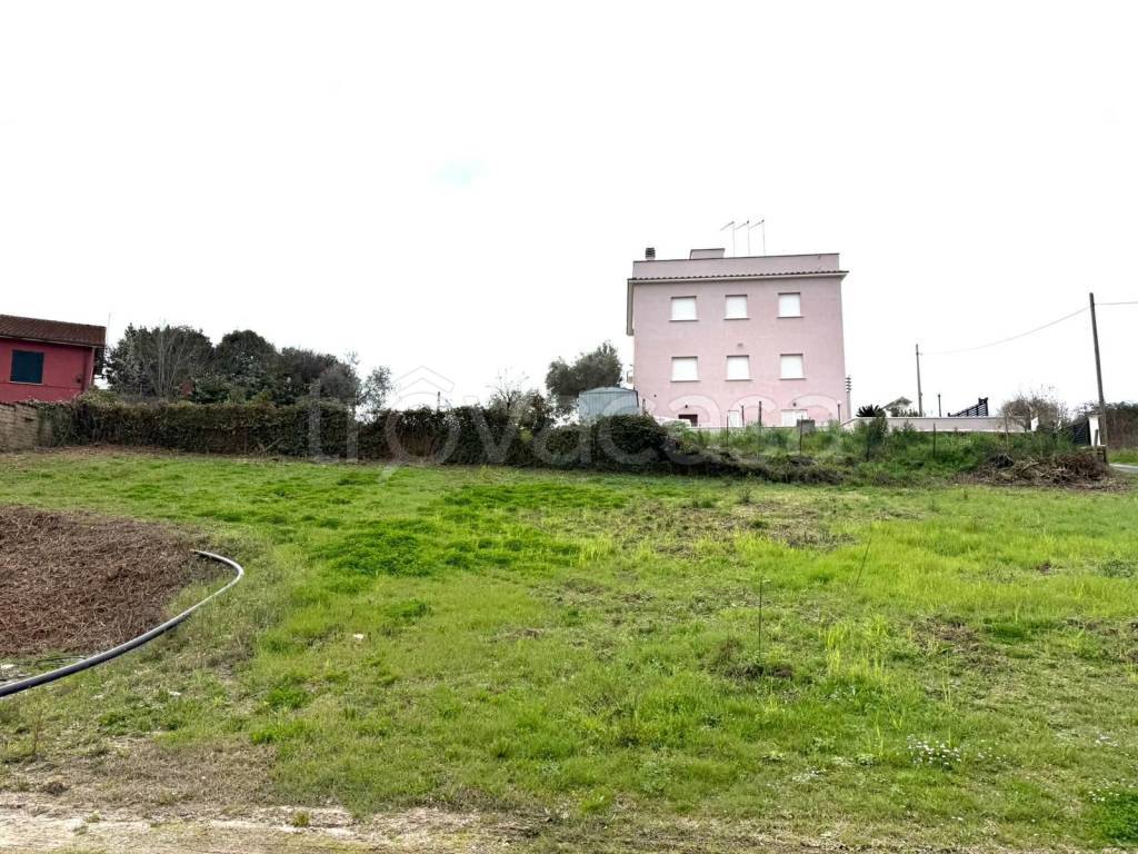 immagine annuncio 2 di 12