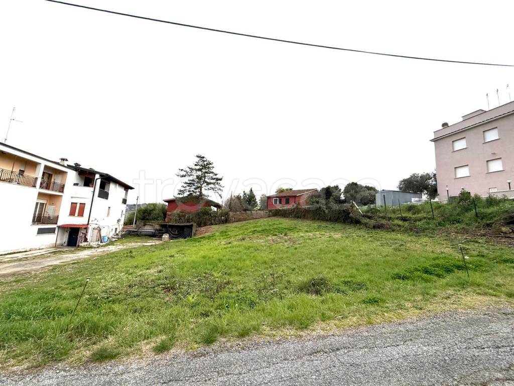 immagine annuncio 5 di 12