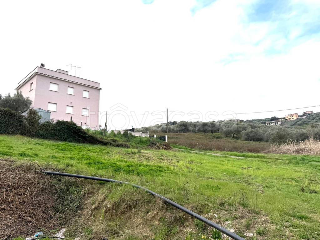 immagine annuncio 6 di 12