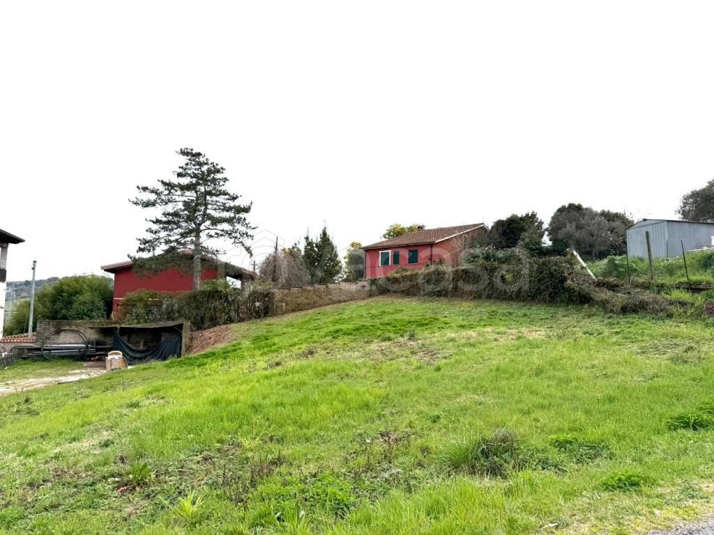 immagine annuncio 7 di 12