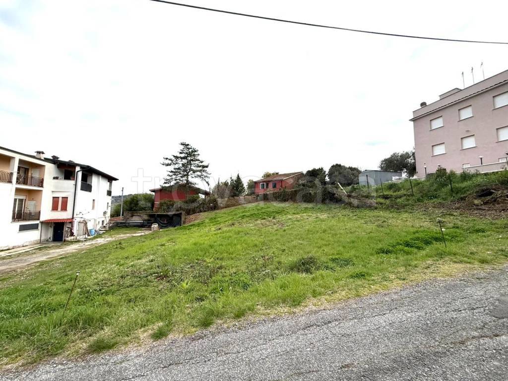 immagine annuncio 8 di 12