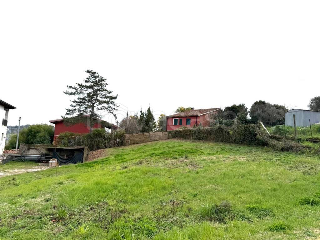 immagine annuncio 10 di 12