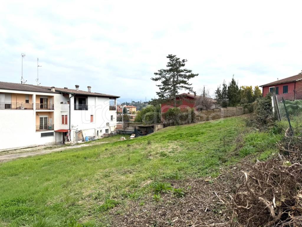 immagine annuncio 11 di 12