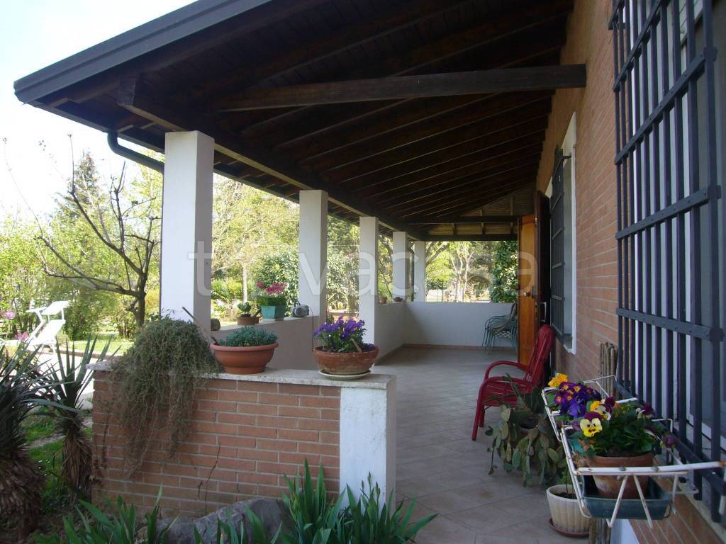 immagine annuncio 1 di 7