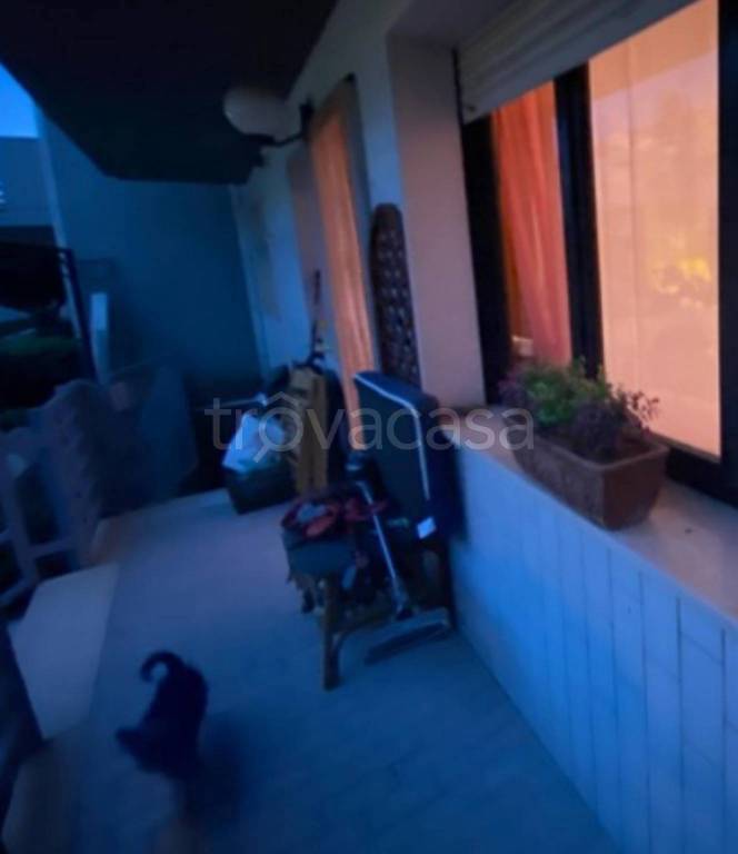 immagine annuncio 4 di 9