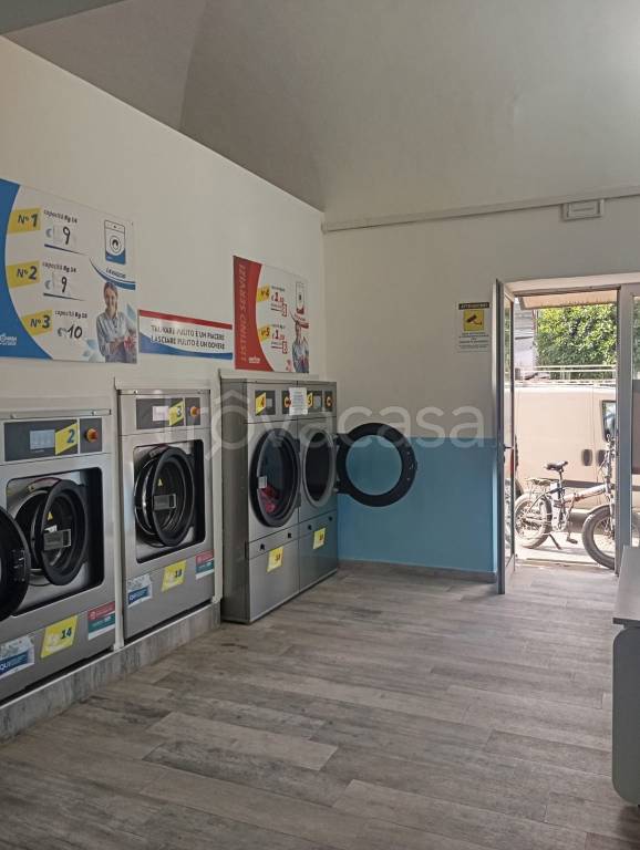 immagine annuncio 9 di 15