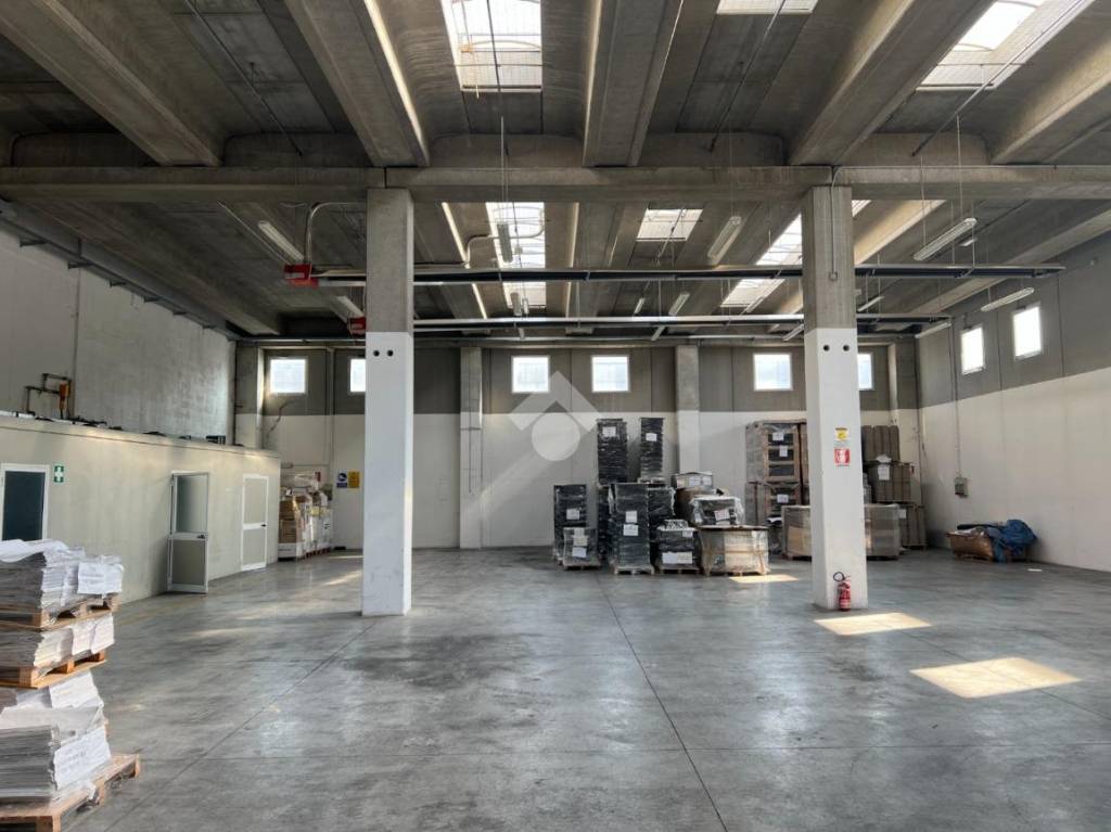 immagine annuncio 3 di 14