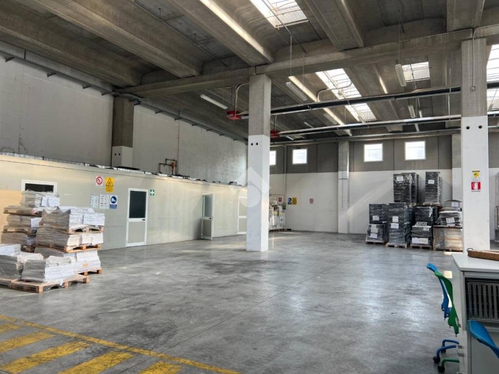 immagine annuncio 5 di 14