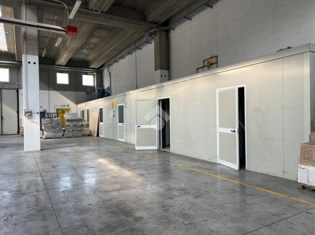 immagine annuncio 6 di 14