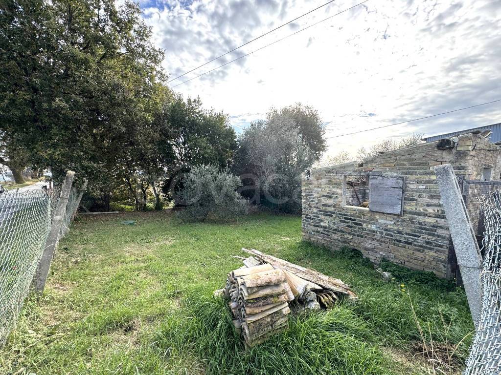 immagine annuncio 12 di 13