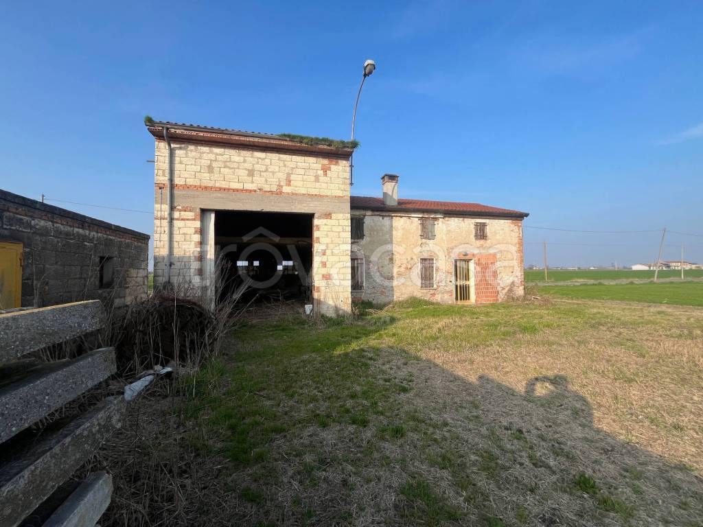 immagine annuncio 10 di 12