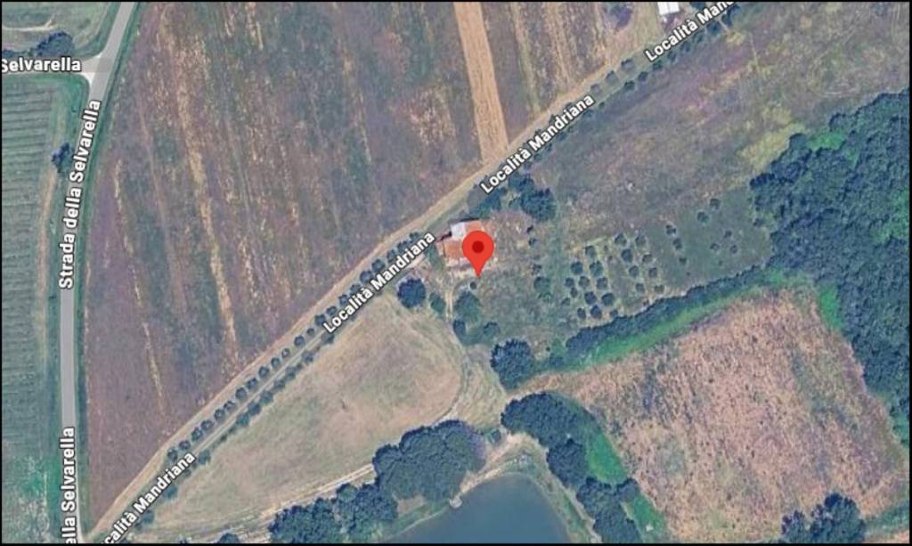 immagine annuncio 11 di 12