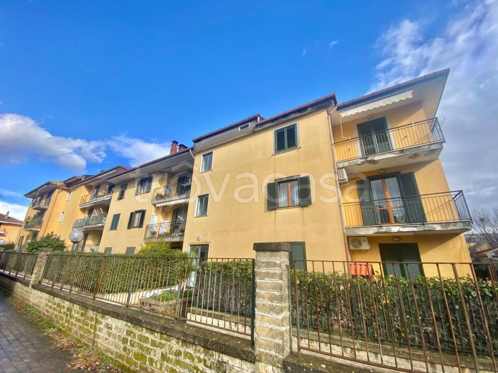 immagine annuncio 11 di 14