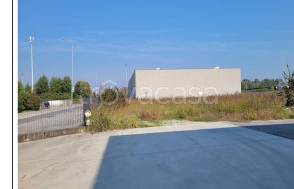 immagine annuncio 6 di 11