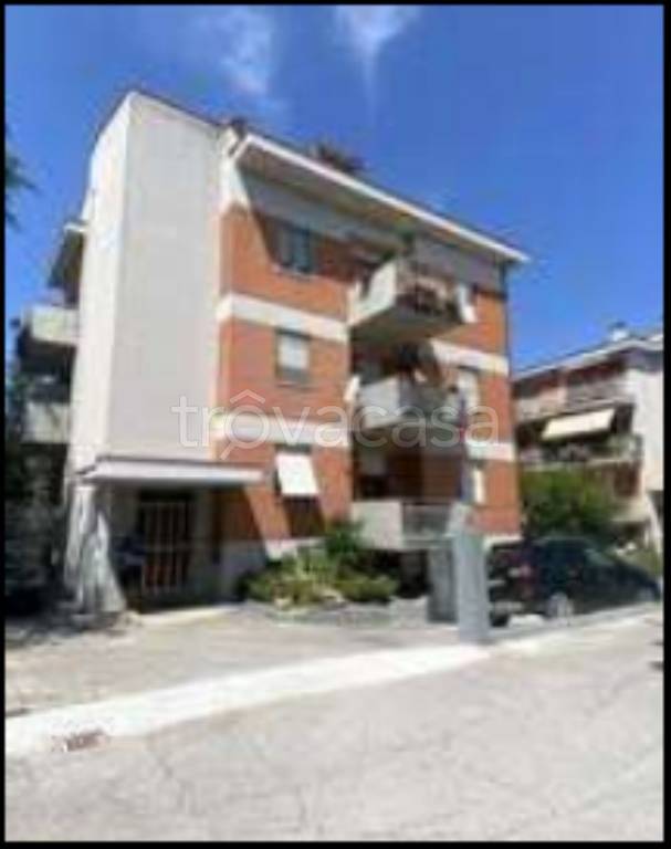 immagine annuncio 1 di 12