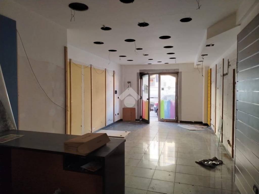 immagine annuncio 3 di 14