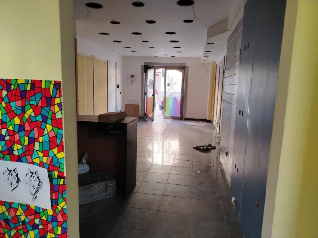 immagine annuncio 5 di 14