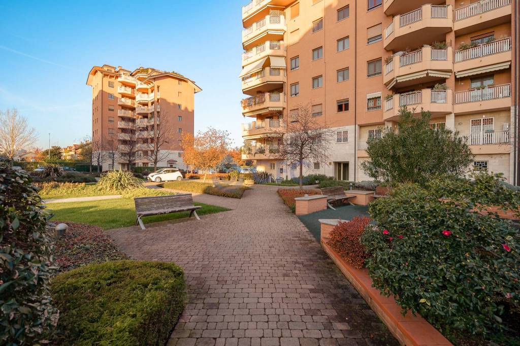 immagine annuncio 1 di 15