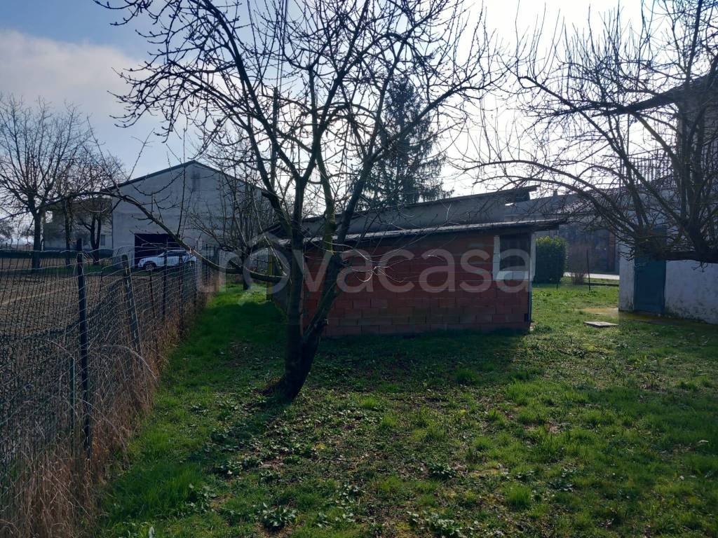 immagine annuncio 5 di 15