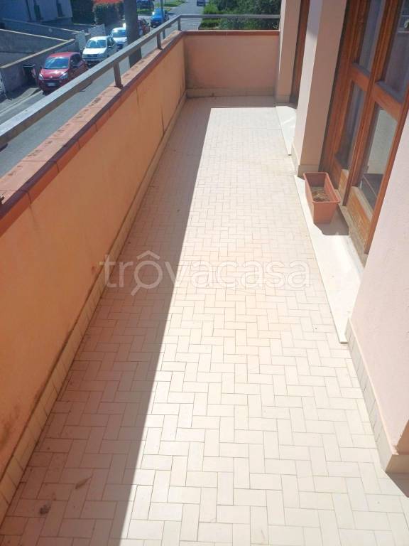 immagine annuncio 6 di 14