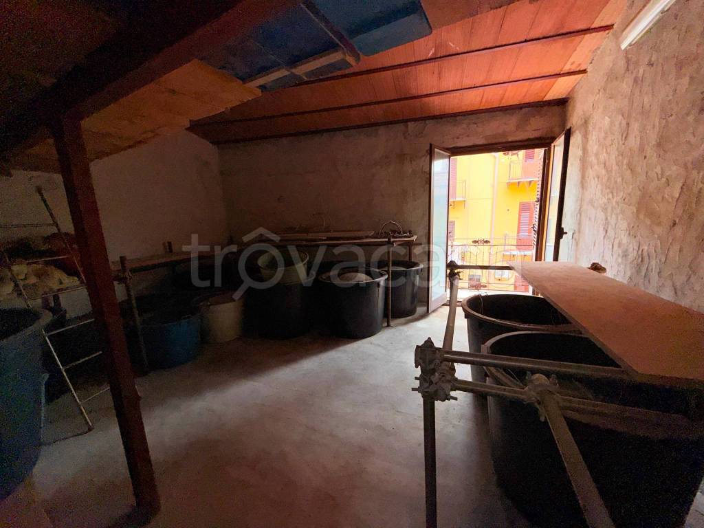 immagine annuncio 9 di 13