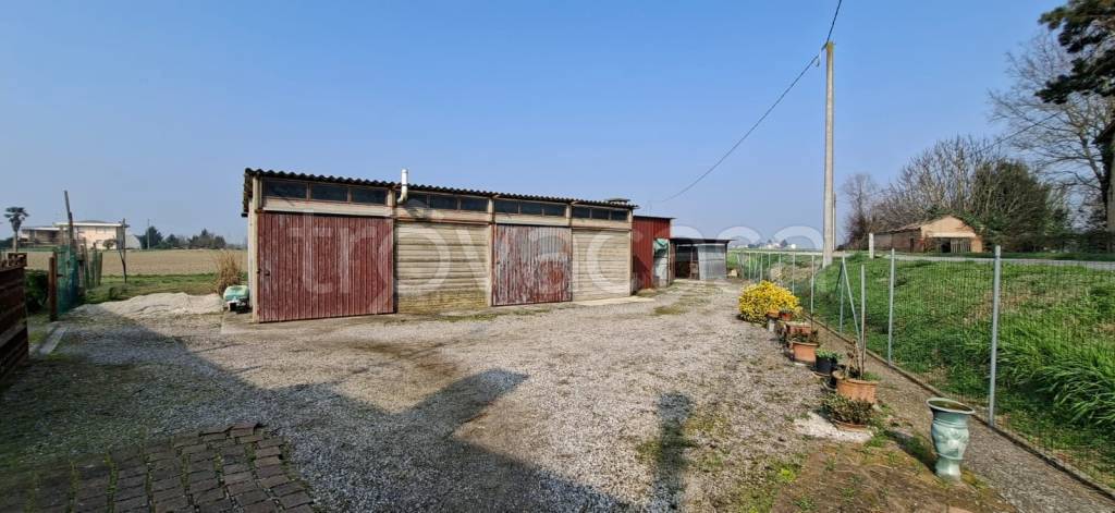 immagine annuncio 2 di 12