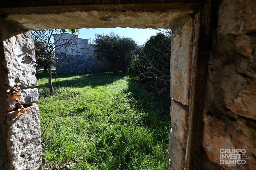 immagine annuncio 3 di 7