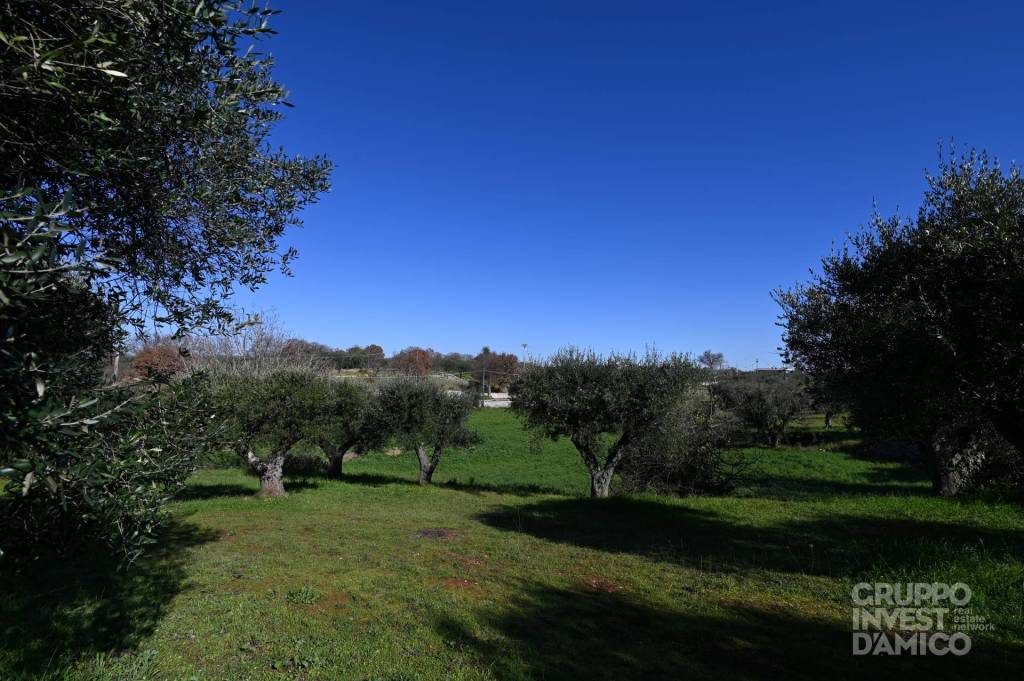 immagine annuncio 5 di 7