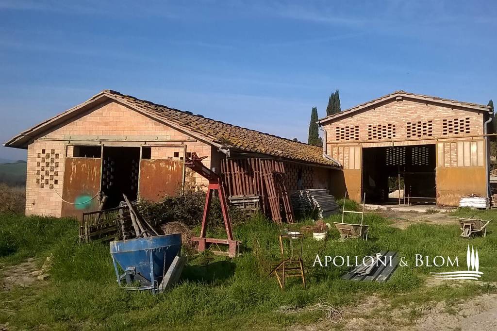 immagine annuncio 2 di 6