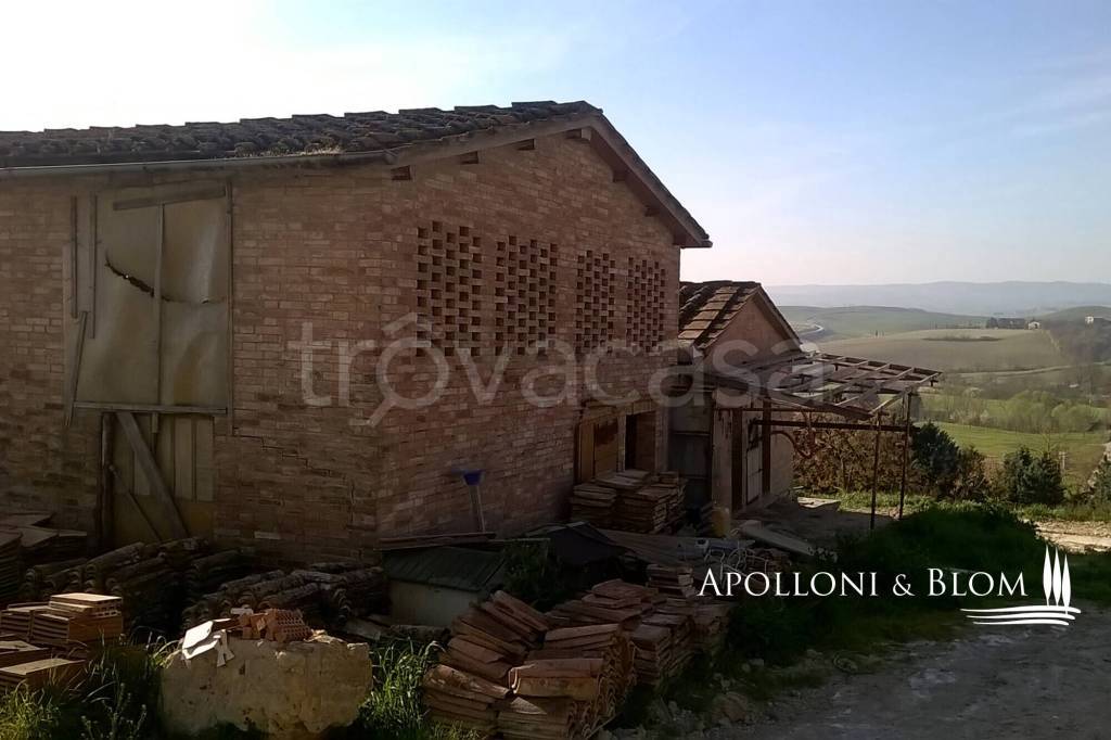 immagine annuncio 3 di 6