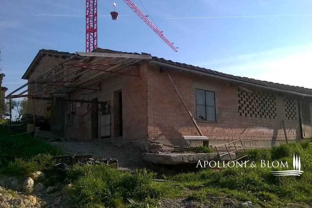 immagine annuncio 4 di 6