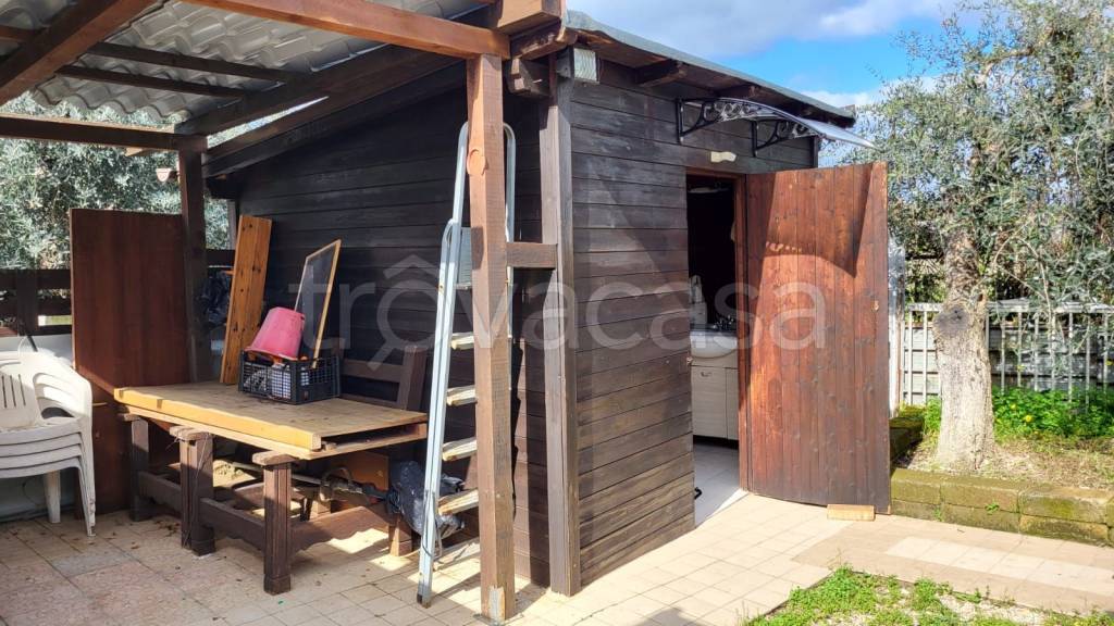 immagine annuncio 5 di 15