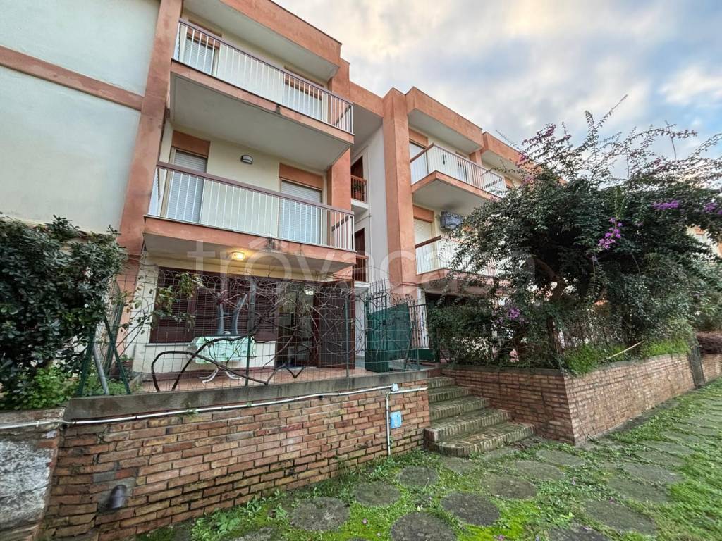 immagine annuncio 2 di 12